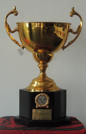 Campeonato Estadual 1991