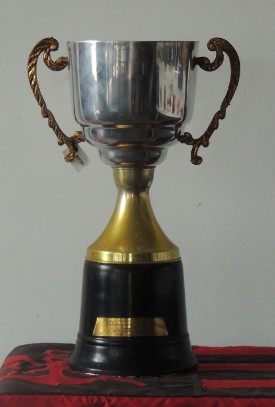 Copa da Capital 1993