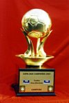 Copa dos Campeões Regionais 2001