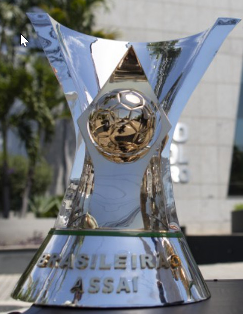 Campeonato Brasileiro 2020