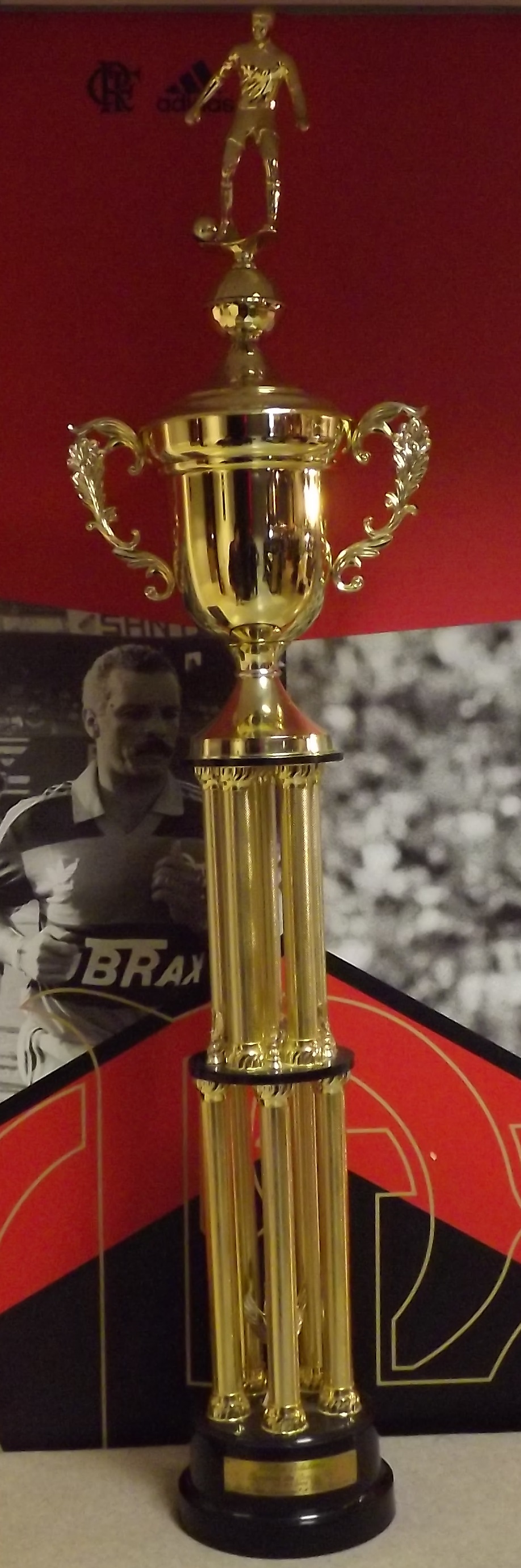 Taça dos Campeões Estaduais Rio-São Paulo 2004